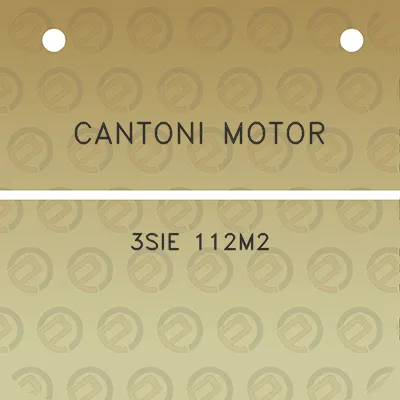 cantoni-motor-3sie-112m2