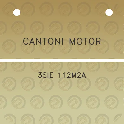 cantoni-motor-3sie-112m2a