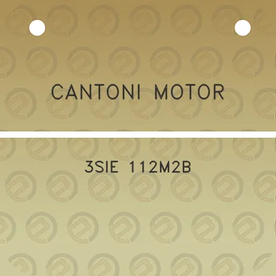 cantoni-motor-3sie-112m2b