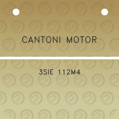 cantoni-motor-3sie-112m4