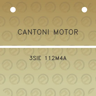 cantoni-motor-3sie-112m4a