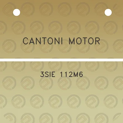 cantoni-motor-3sie-112m6