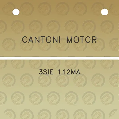 cantoni-motor-3sie-112ma