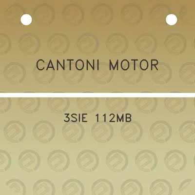 cantoni-motor-3sie-112mb