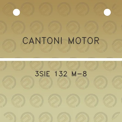 cantoni-motor-3sie-132-m-8