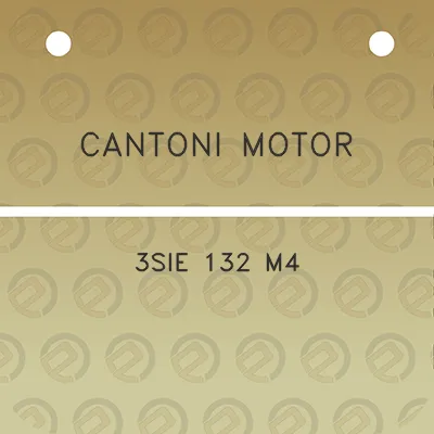 cantoni-motor-3sie-132-m4