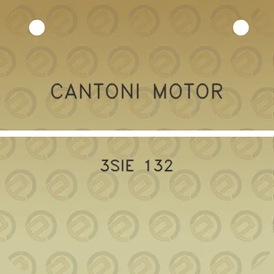 cantoni-motor-3sie-132