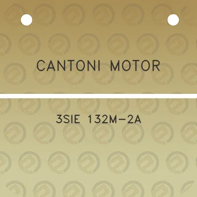 cantoni-motor-3sie-132m-2a