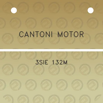 cantoni-motor-3sie-132m