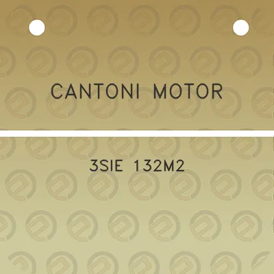 cantoni-motor-3sie-132m2