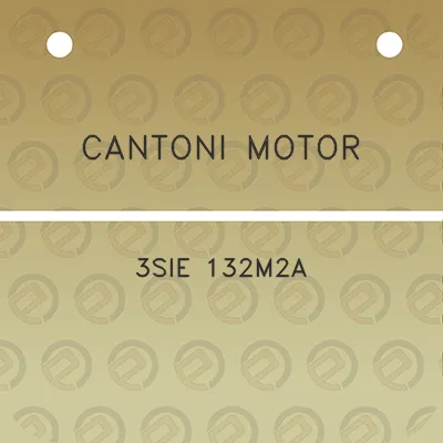 cantoni-motor-3sie-132m2a