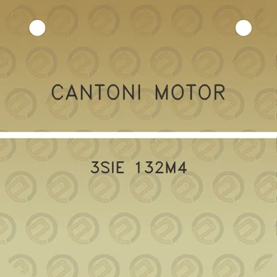 cantoni-motor-3sie-132m4