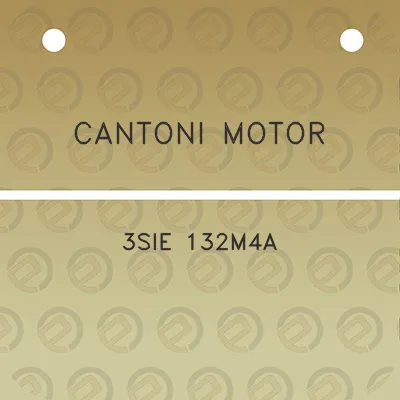 cantoni-motor-3sie-132m4a