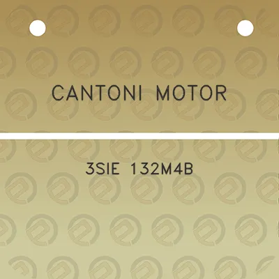 cantoni-motor-3sie-132m4b