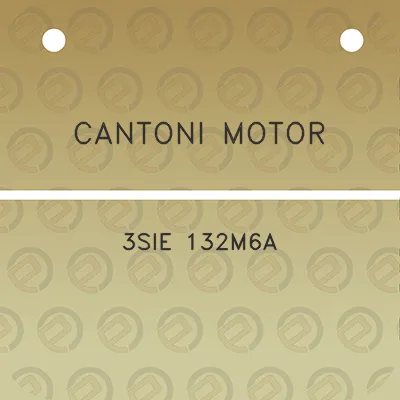 cantoni-motor-3sie-132m6a