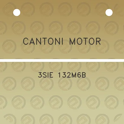 cantoni-motor-3sie-132m6b