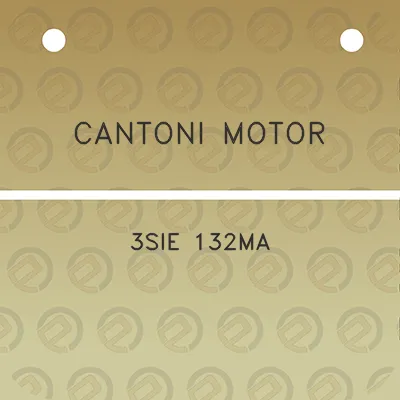 cantoni-motor-3sie-132ma