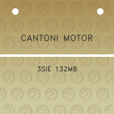 cantoni-motor-3sie-132mb