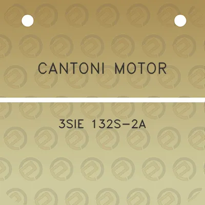 cantoni-motor-3sie-132s-2a