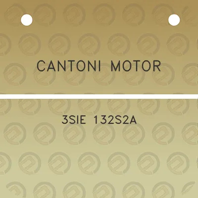 cantoni-motor-3sie-132s2a