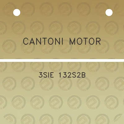 cantoni-motor-3sie-132s2b