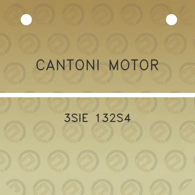 cantoni-motor-3sie-132s4