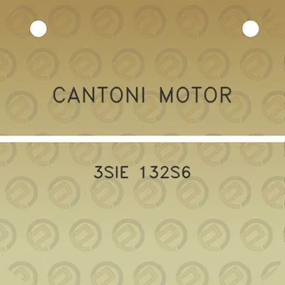 cantoni-motor-3sie-132s6