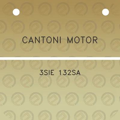 cantoni-motor-3sie-132sa