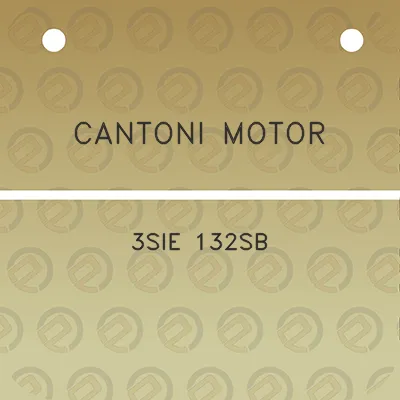 cantoni-motor-3sie-132sb