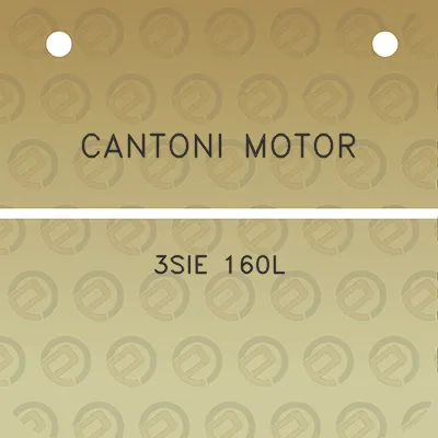 cantoni-motor-3sie-160l