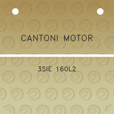 cantoni-motor-3sie-160l2