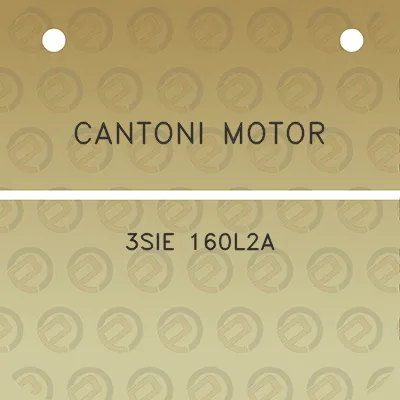 cantoni-motor-3sie-160l2a