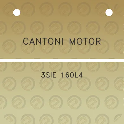 cantoni-motor-3sie-160l4