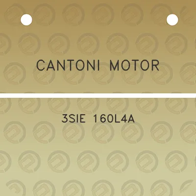 cantoni-motor-3sie-160l4a