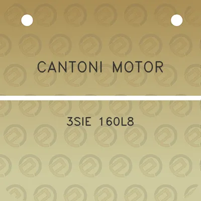 cantoni-motor-3sie-160l8