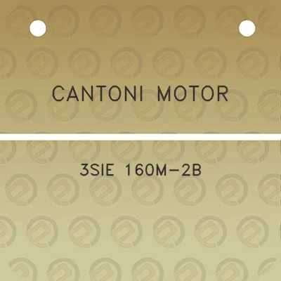 cantoni-motor-3sie-160m-2b