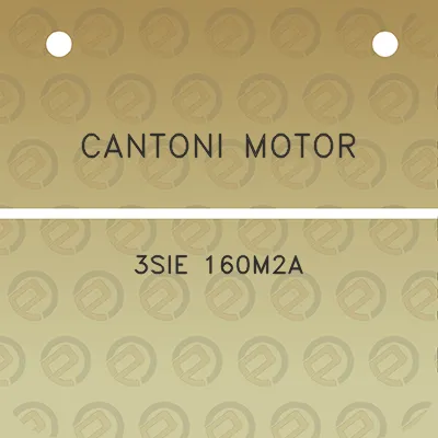 cantoni-motor-3sie-160m2a