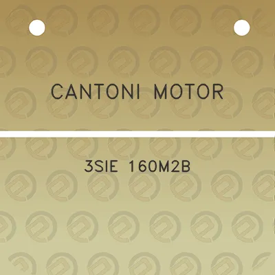 cantoni-motor-3sie-160m2b