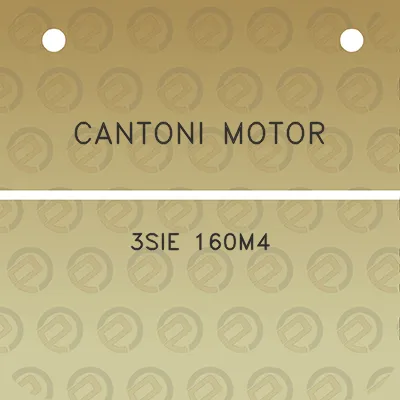 cantoni-motor-3sie-160m4