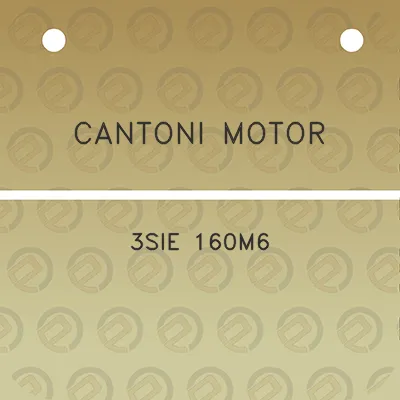 cantoni-motor-3sie-160m6