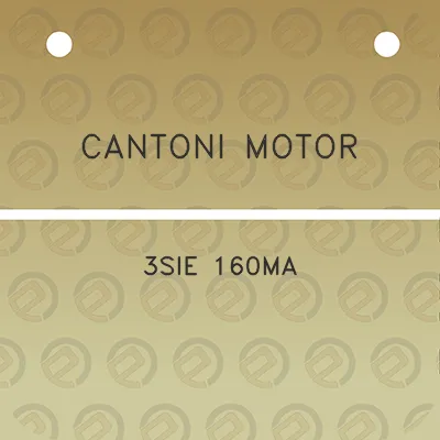 cantoni-motor-3sie-160ma