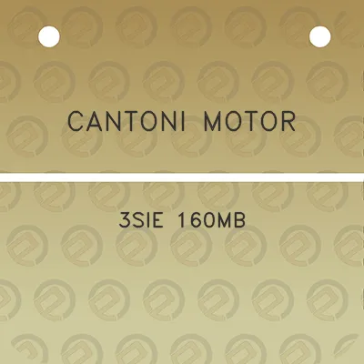 cantoni-motor-3sie-160mb