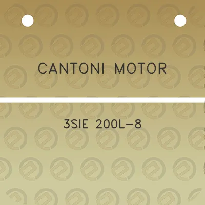 cantoni-motor-3sie-200l-8