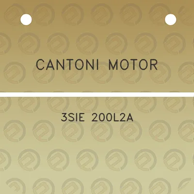 cantoni-motor-3sie-200l2a