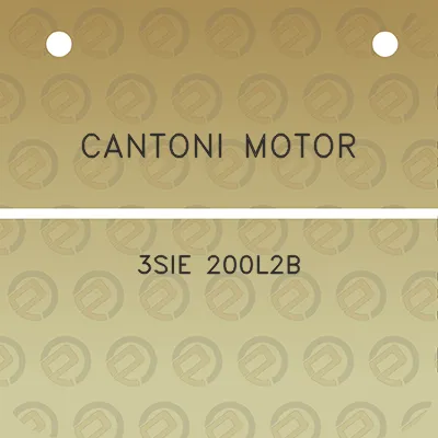 cantoni-motor-3sie-200l2b