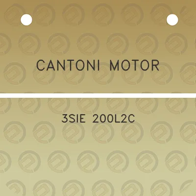 cantoni-motor-3sie-200l2c