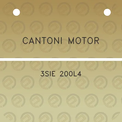 cantoni-motor-3sie-200l4