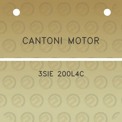 cantoni-motor-3sie-200l4c