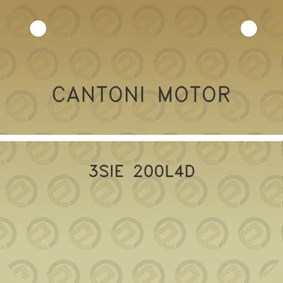 cantoni-motor-3sie-200l4d