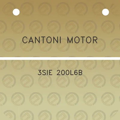 cantoni-motor-3sie-200l6b